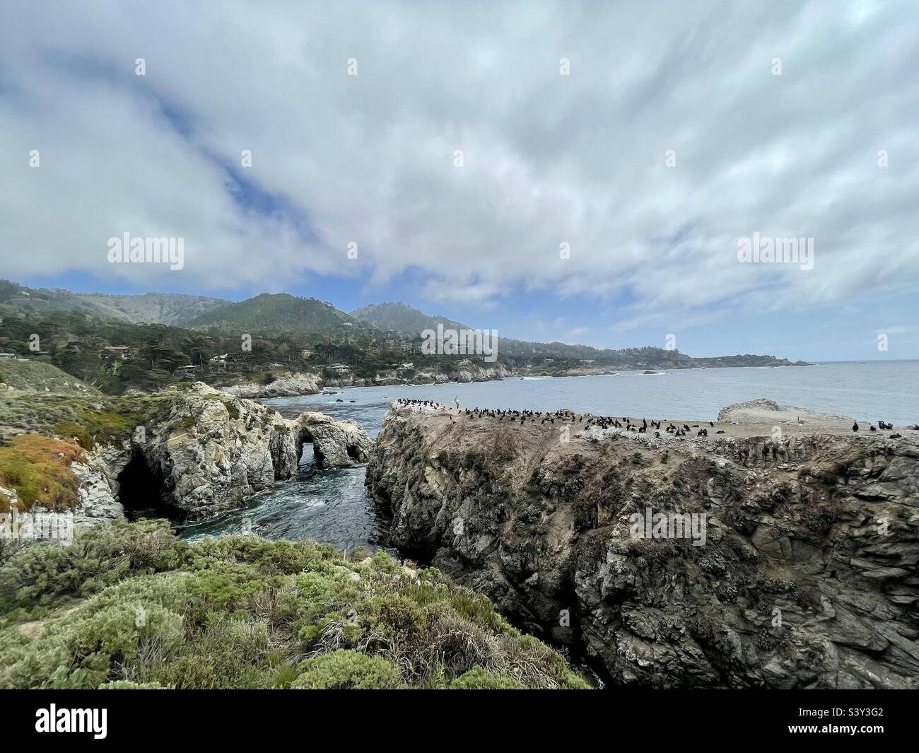 Point Lobos Natural Reserve, Kalifornien. Stockfoto