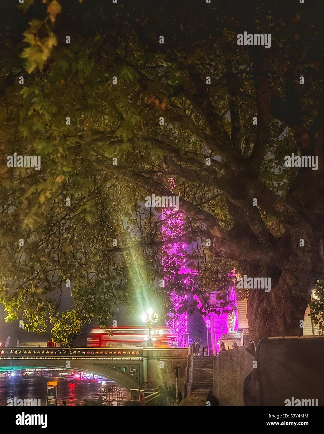 Blick auf das London Eye von der Südseite des Thames Path bei der Westminster Bridge, London bei Nacht. Der Farbzusammenstoß mit dem Purple Eye, der grünen Brücke und den gelben Zierlampen ist schillernd Stockfoto