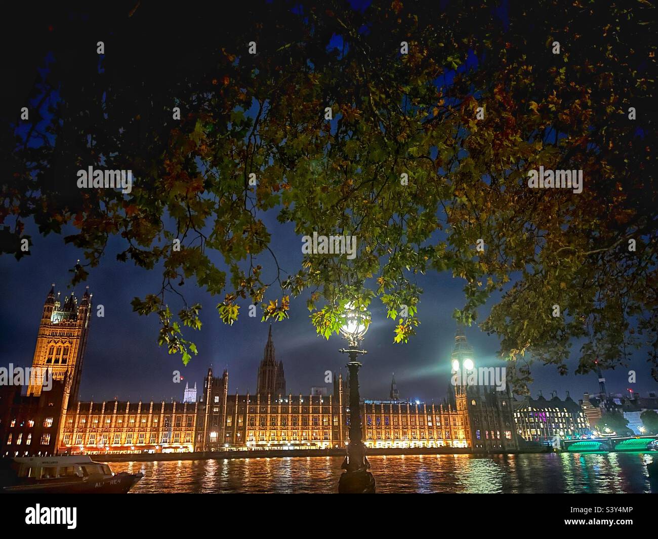 Houses of Parliament und Westminster Bridge vom St. Thomas’s Hospital London an der Themse bei Nacht. Beleuchtung unter der Brücke und Reflexionen auf dem Fluss. Foto unter einem Baum. Stockfoto