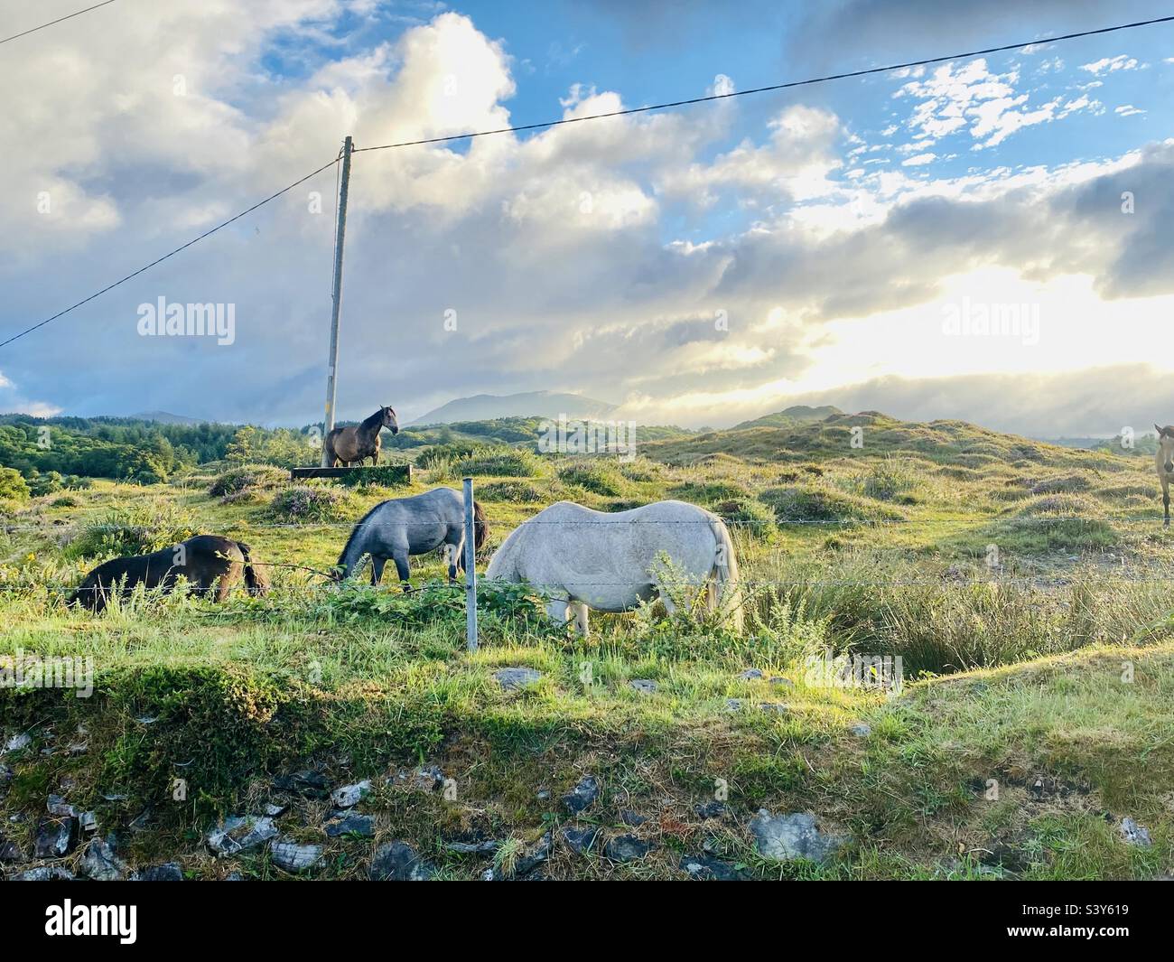 Irische Landschaft Stockfoto