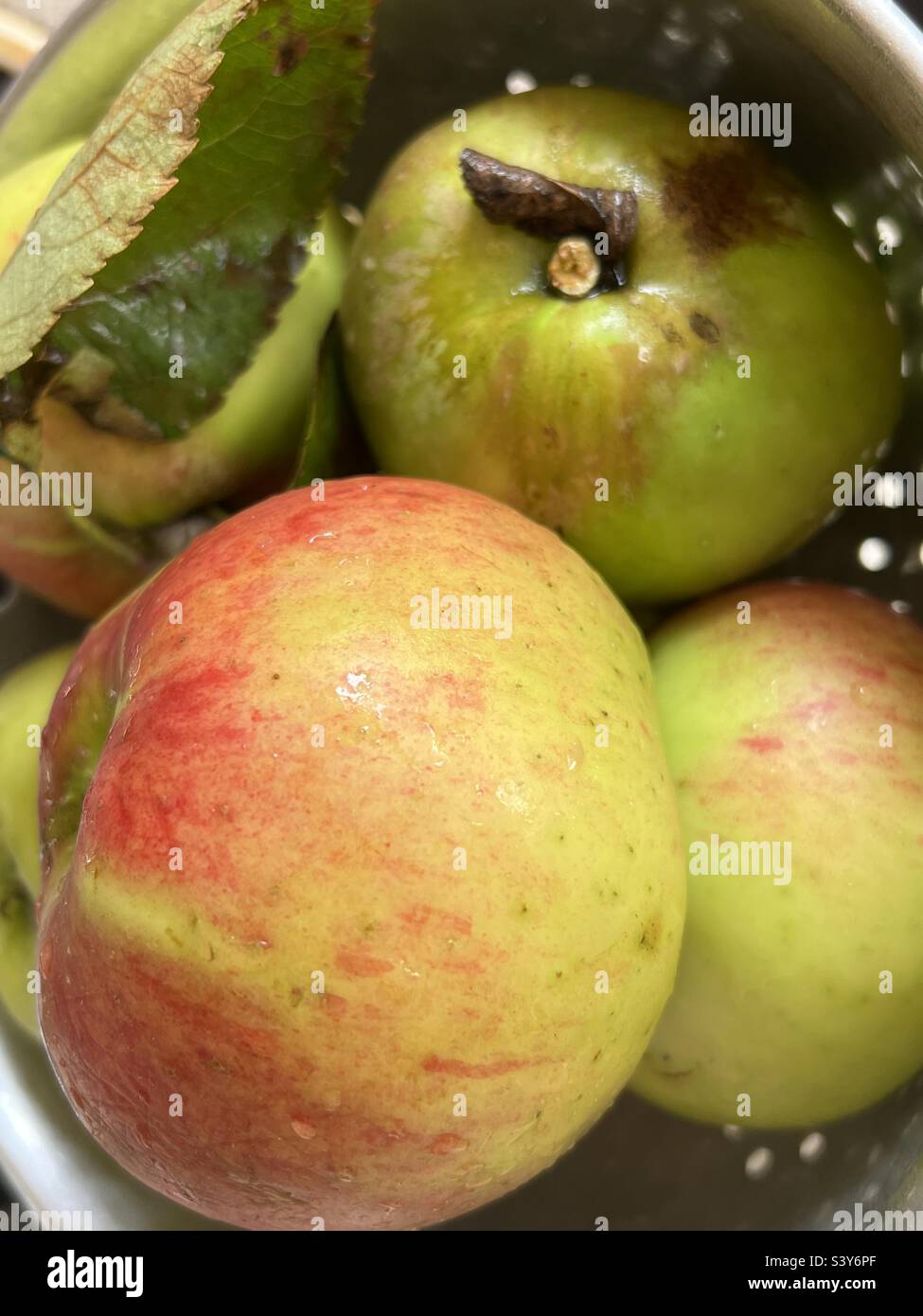Oma Smiths Äpfel Stockfoto