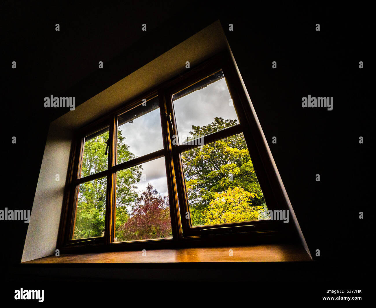 Isolierter Blick auf Bäume vom Fenster Stockfoto