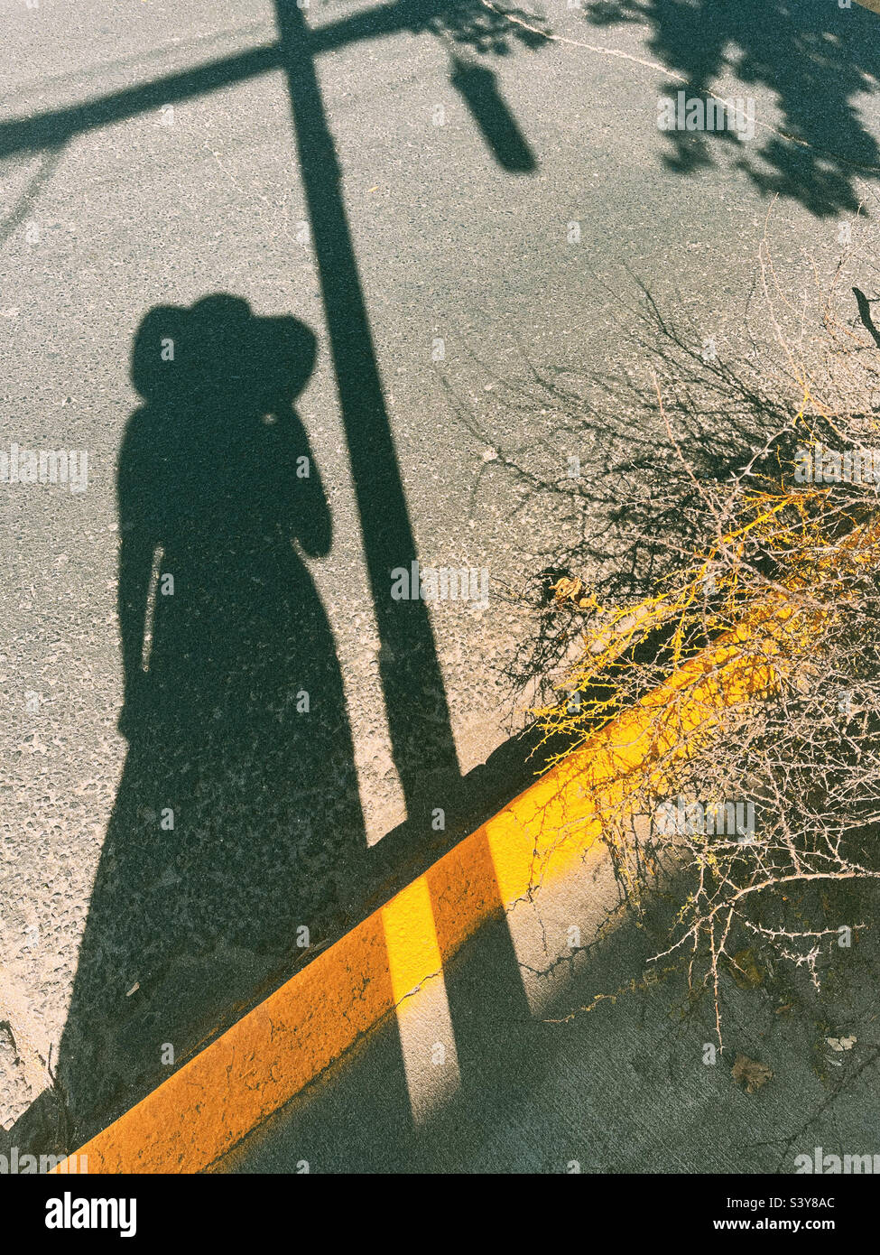 Frau Silhouette - Smartphone-aufgenommenes Stockfoto