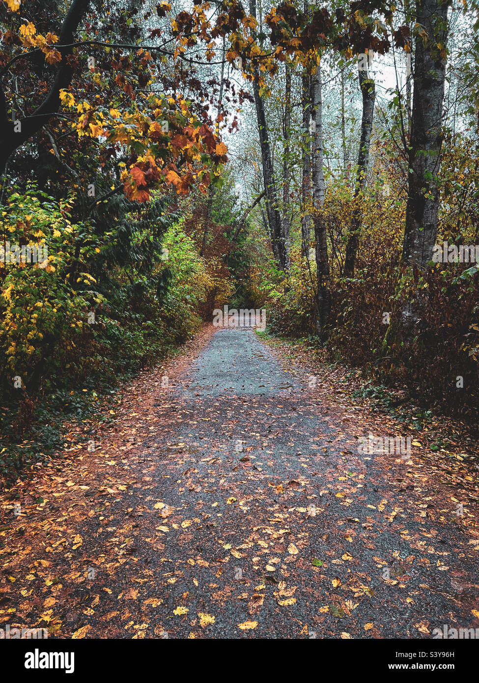 Herbst-Weg Stockfoto