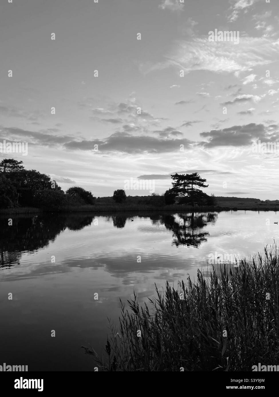 Herbst am Teich. Stockfoto