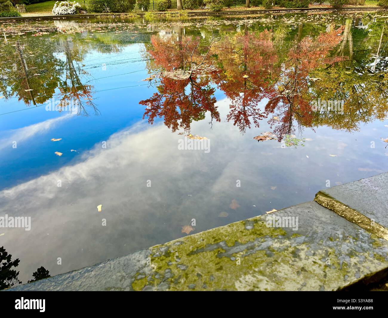 Spiegelung der Herbstansicht auf einem Wasser - Smartphone-aufgenommenes Stockfoto