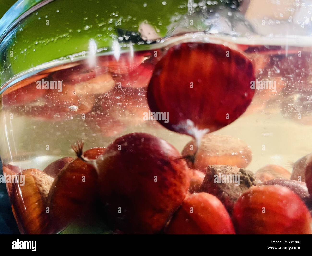 Vor dem Braten tauchten die süßen Kastanien in eine Glasschüssel mit kaltem Wasser ein - verfaulte werden vermutlich nach oben steigen und schweben. Stockfoto