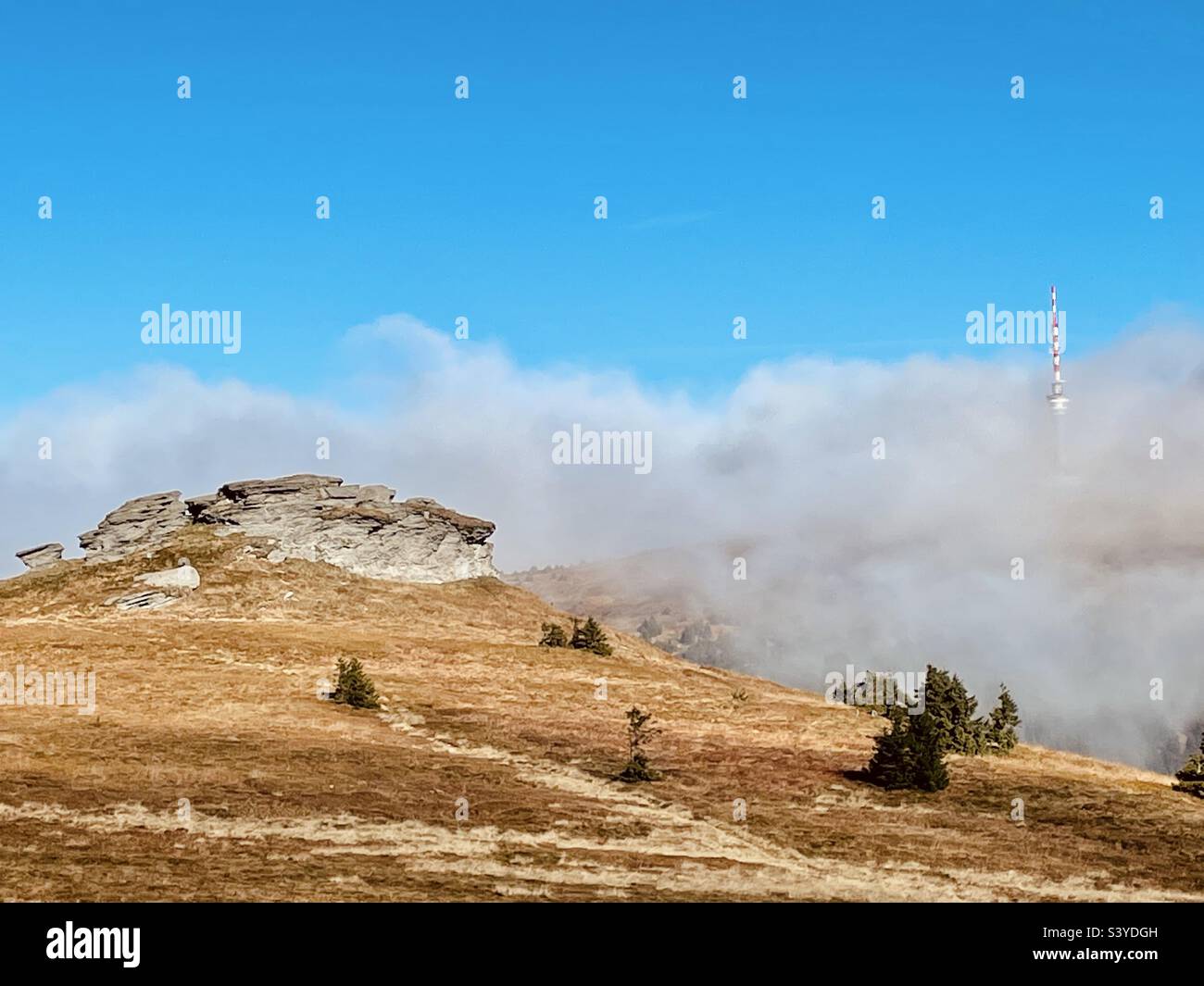 Morgens wurde gepraded - Smartphone-aufgenommenes Stockfoto