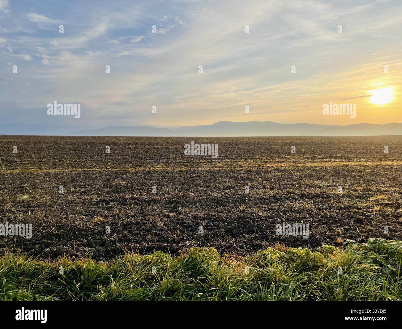 Herbst-Feld Stockfoto