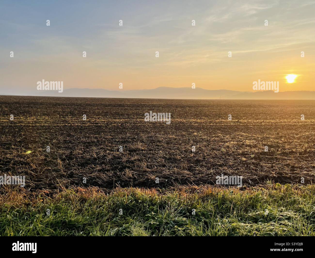 Herbst Sonnenaufgang - Smartphone-aufgenommenes Stockfoto