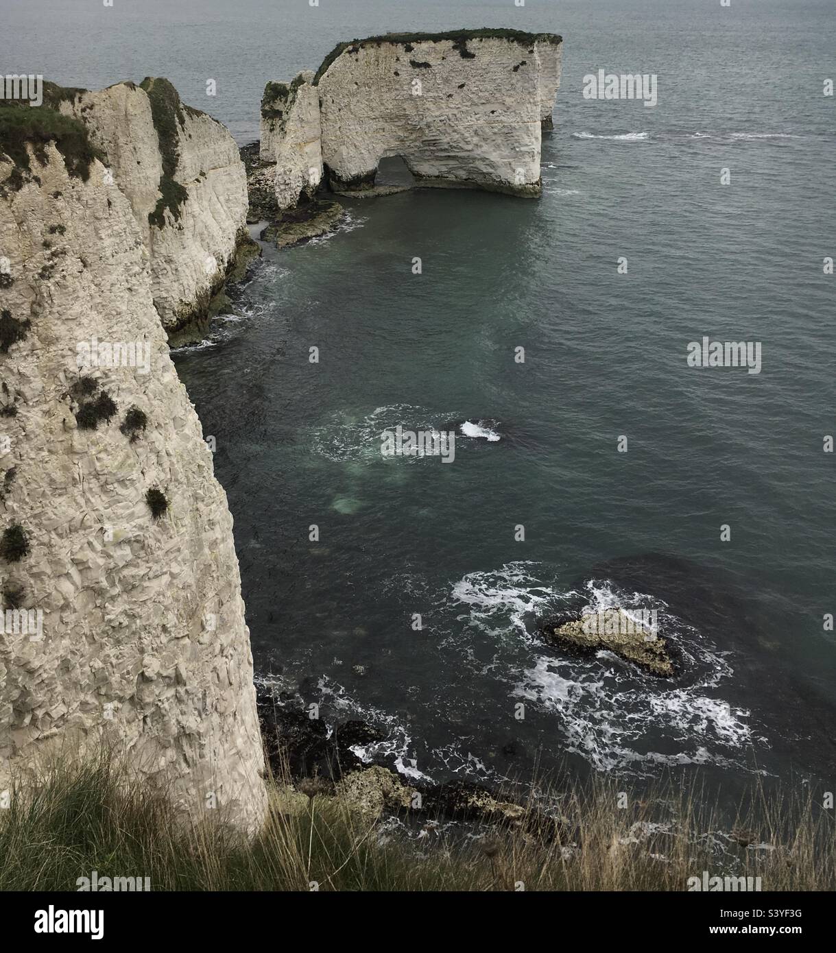 Old Harry’s Rocks, Dorset Stockfoto