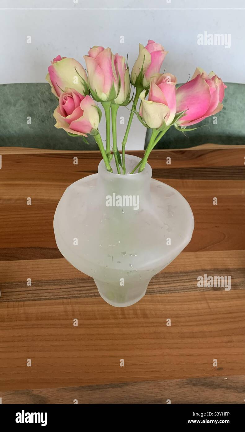 Rosa und cremefarbene Rosen in einer Vase Stockfoto