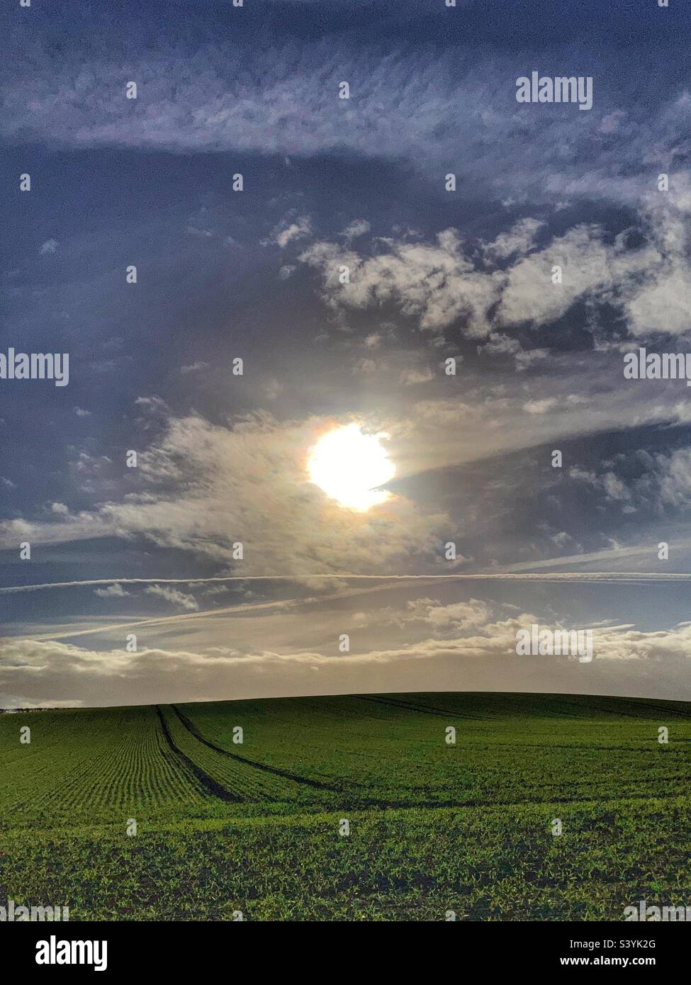 Landwirtschaftliches Feld in der Wintersonne bei Eccup in der Nähe von Leeds West Yorkshire Stockfoto