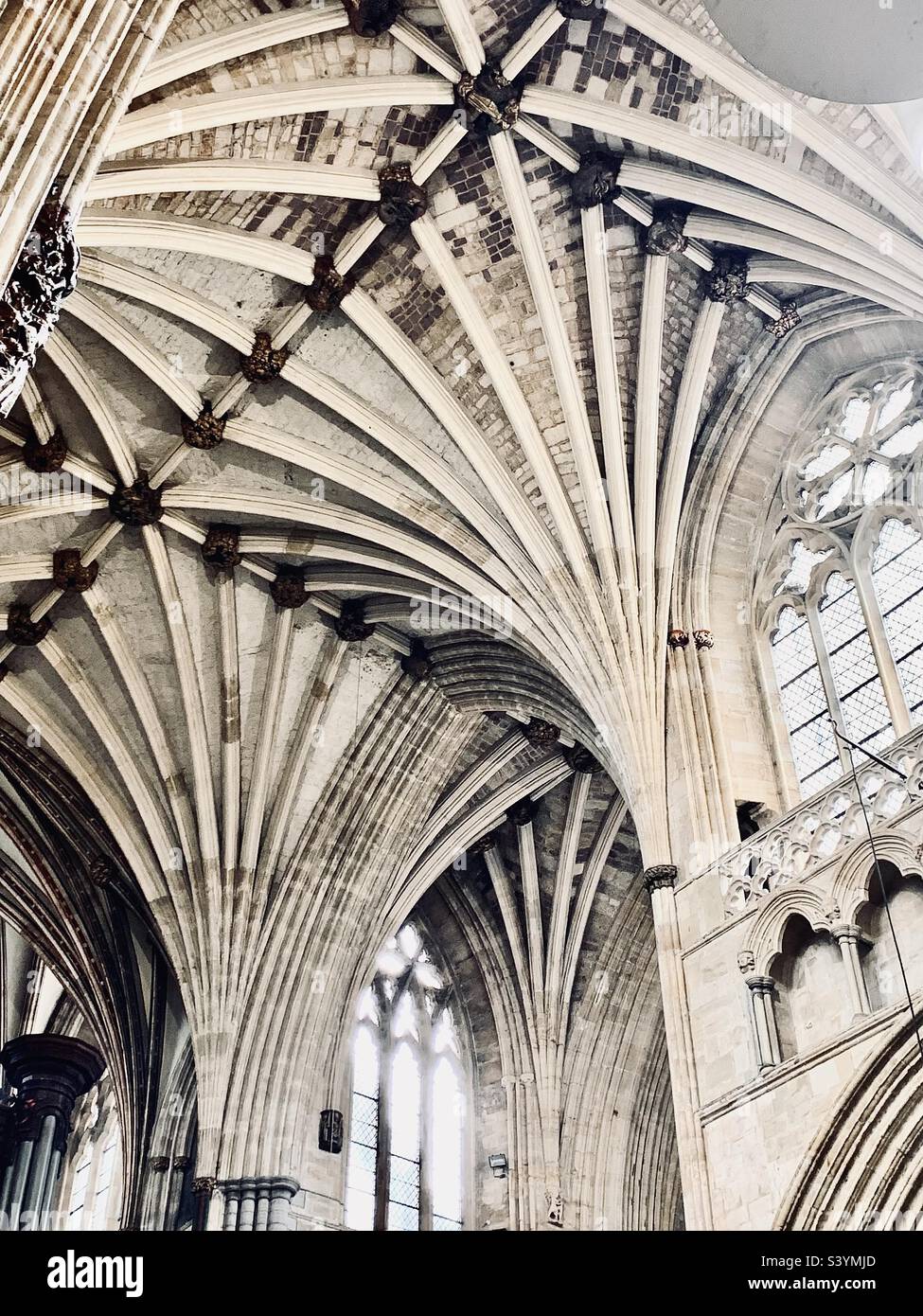 Erstaunliche Details der architektonischen Schönheit des Innendachs und der Decke der geschnitzten Säulen der Kathedrale von Exeter, England Stockfoto