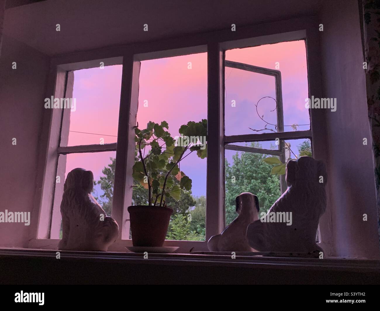 Atemberaubender rosafarbener Himmel, während die Sonne durch ein offenes Cottage-Fenster untergeht, mit chinahunden und Zimmerpflanzen auf dem Fensterbrett im Sommer, Somerset England Stockfoto