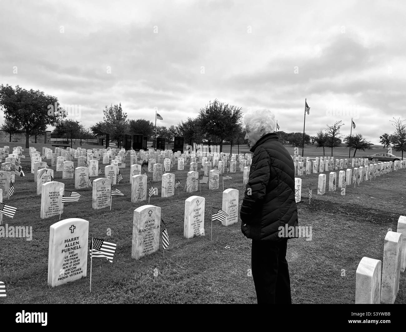 Trauernde Frau, die neben ihren Lieben steht, begräbt, während amerikanische Flaggen zu Ehren des Veteranentages die Grabsteine schmücken Stockfoto