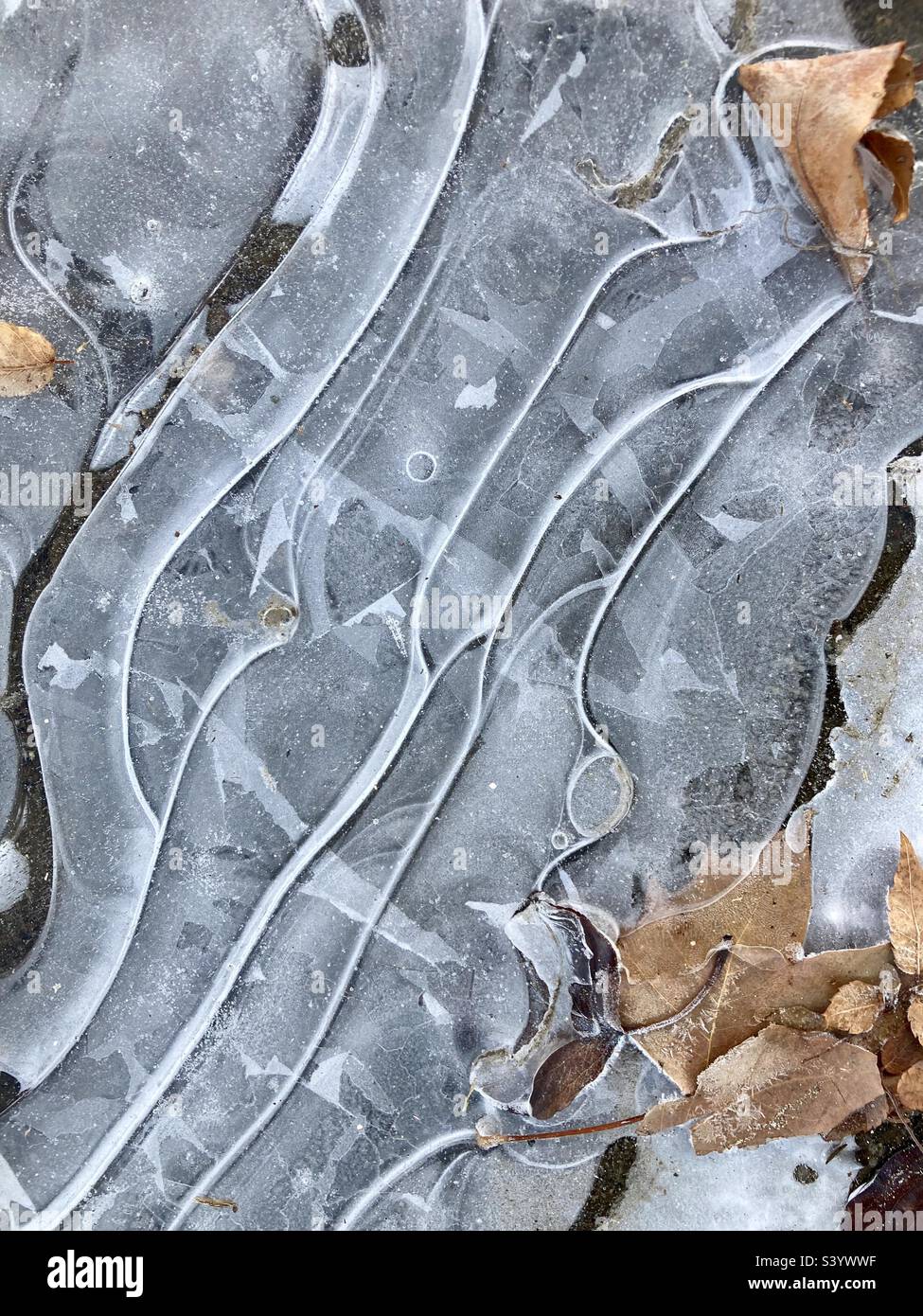 Winterkunst von Natur aus mit Eis mit welligen Linien und Blättern Stockfoto