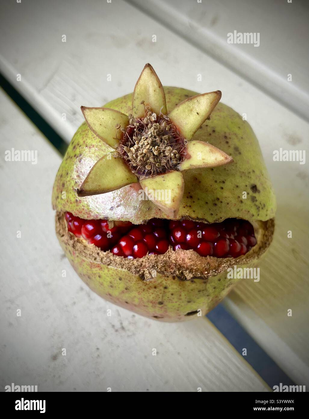 Granatapfel Stockfoto
