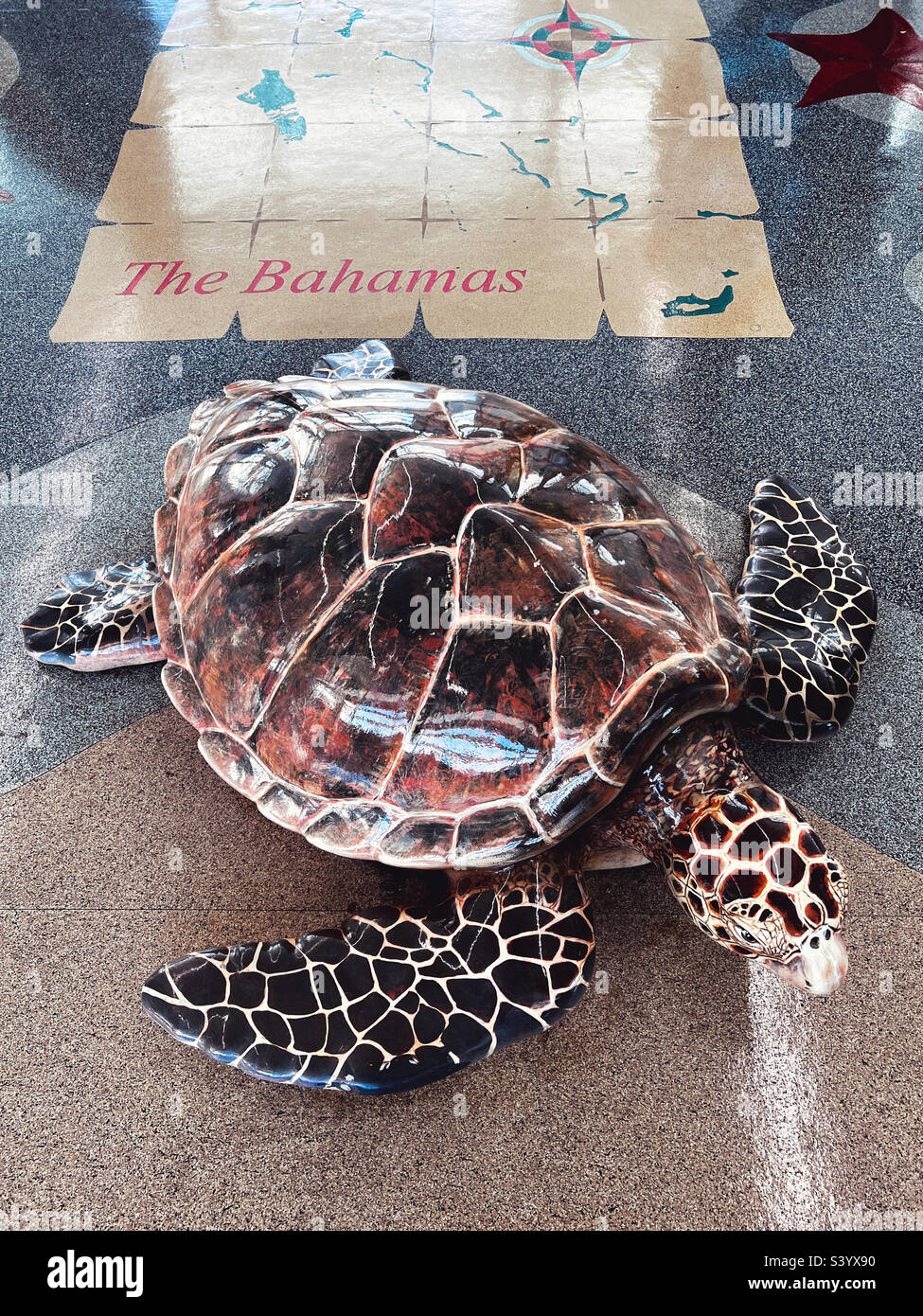 Schildkrötenskulptur am Flughafen auf den Bahamas Stockfoto