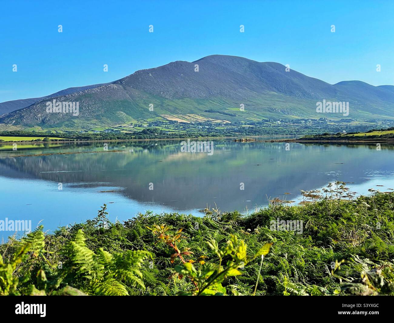 Ring of Kerry - Blick über das Wasser in der Nähe von Cahersiveen, Lower Carhan, August. - Smartphone-aufgenommenes Stockfoto