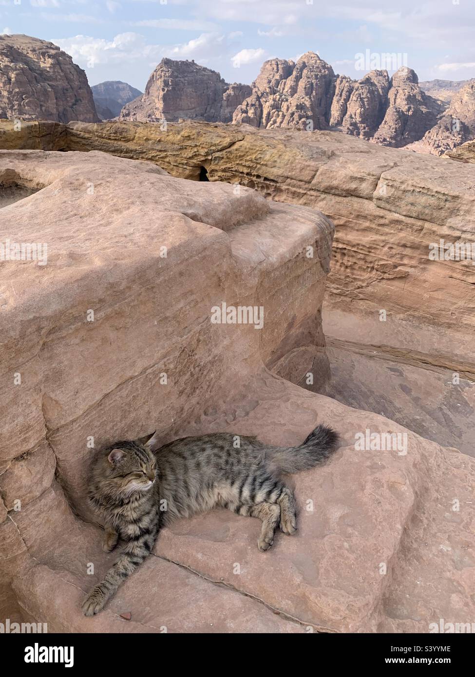 Auto-Entspannung am höchsten Ort der Opferung Petra Jordan - Smartphone-aufgenommenes Stockfoto