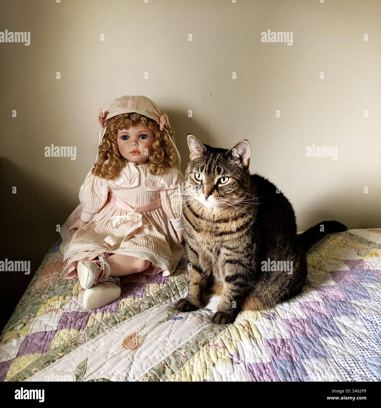 Tabby-Katze sitzt mit Porzellanpuppe auf dem Bett Stockfoto