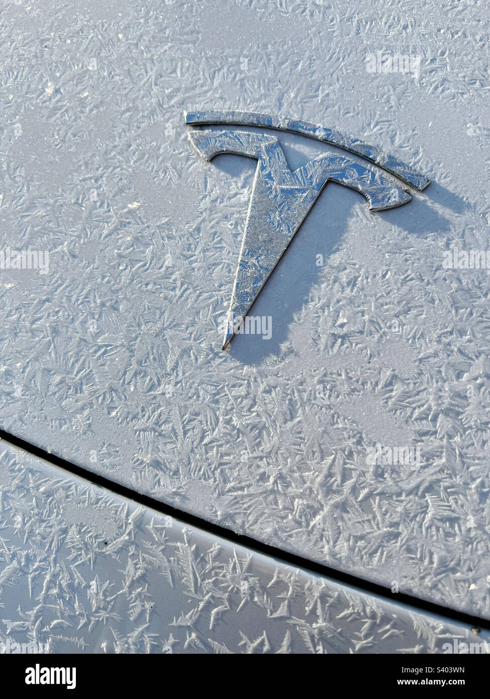 Das Abzeichen eines Tesla Model 3 an einem frostigen Wintermorgen. Stockfoto