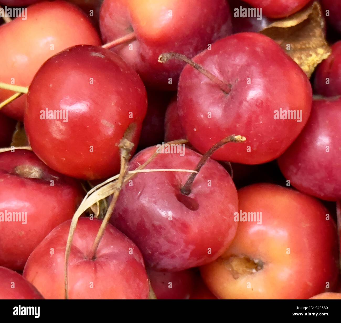 Winzige Krabbenäpfel, die aussehen wie Kirschen, zum Verkauf im Bauernladen von Worcestershire Stockfoto