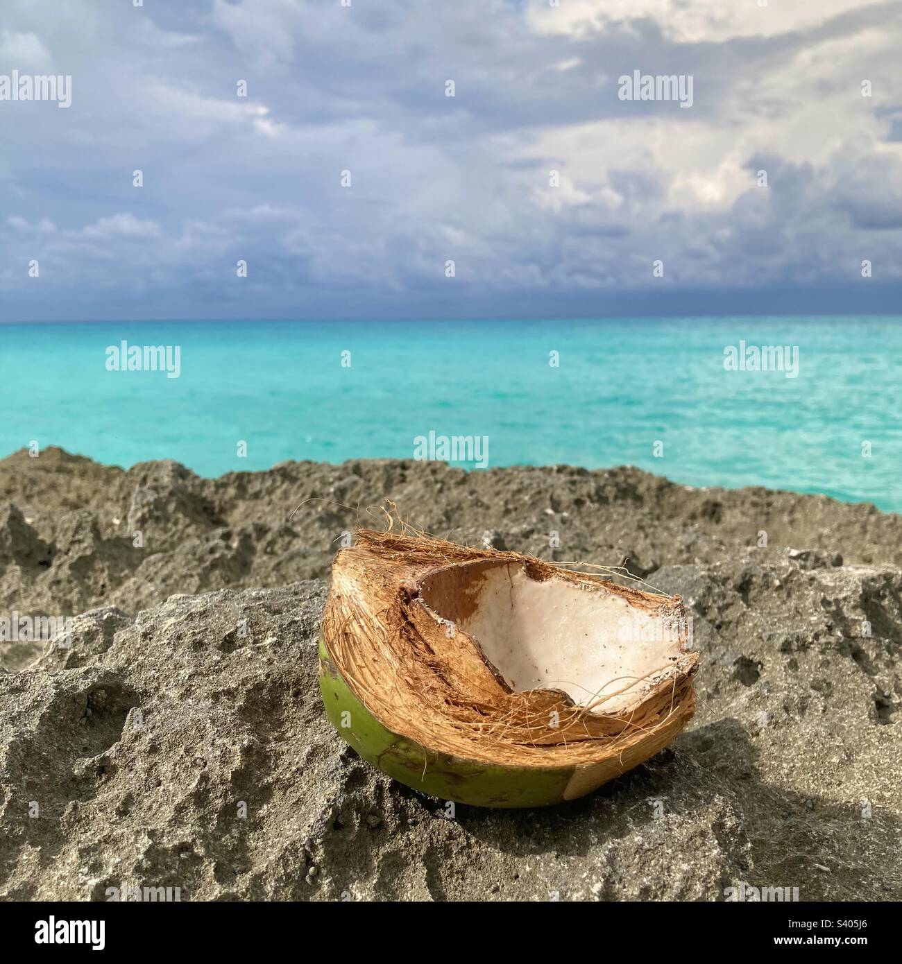 Eine offene Kokosnusshälfte liegt auf einer felsigen Gegend am Strand und dem türkisfarbenen Ozean auf den Bahamas Stockfoto