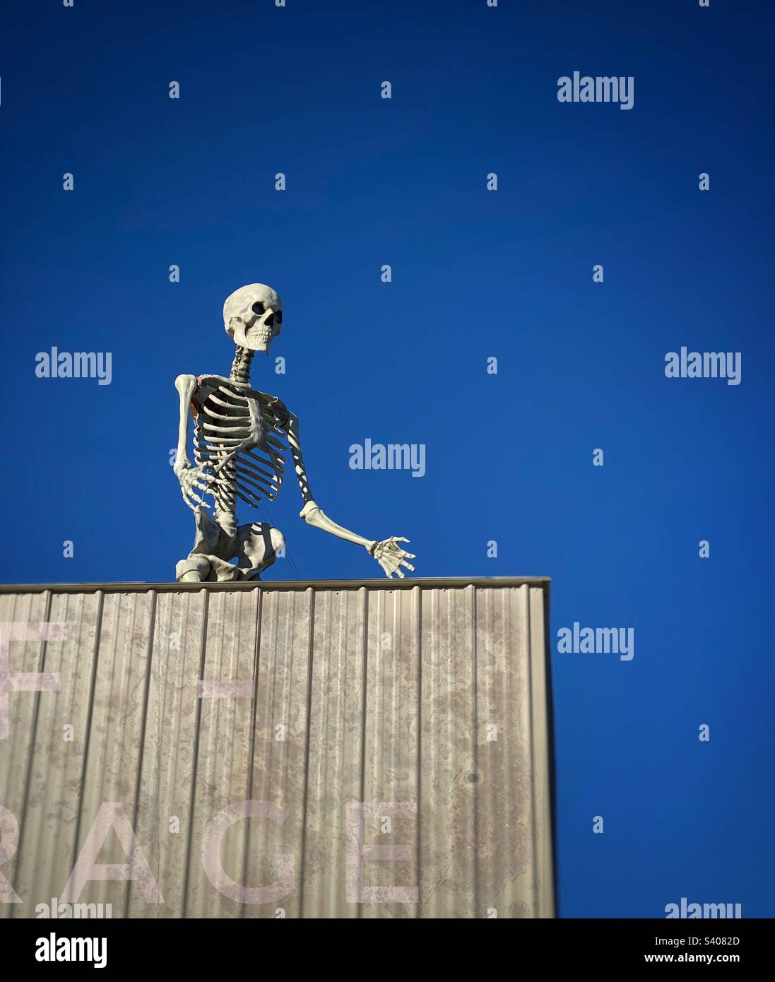 Ein riesiges Halloween-Skelett auf dem Dach eines Lagerhauses - Smartphone-aufgenommenes Stockfoto