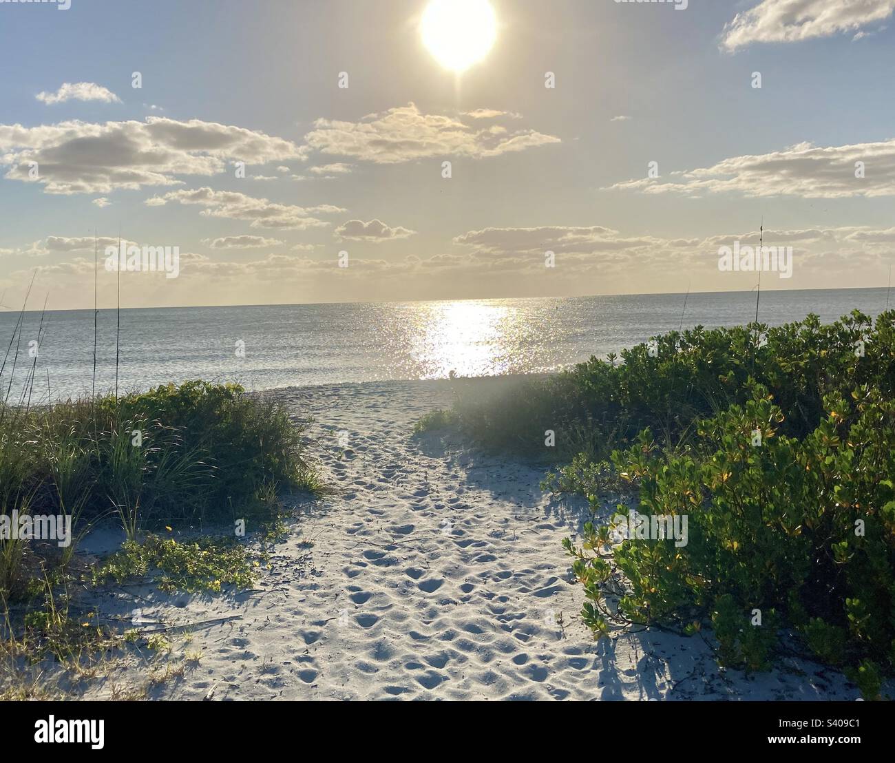 Ein Pfad durch die Dünen zu einem Sandstrand bei Sonnenuntergang Stockfoto