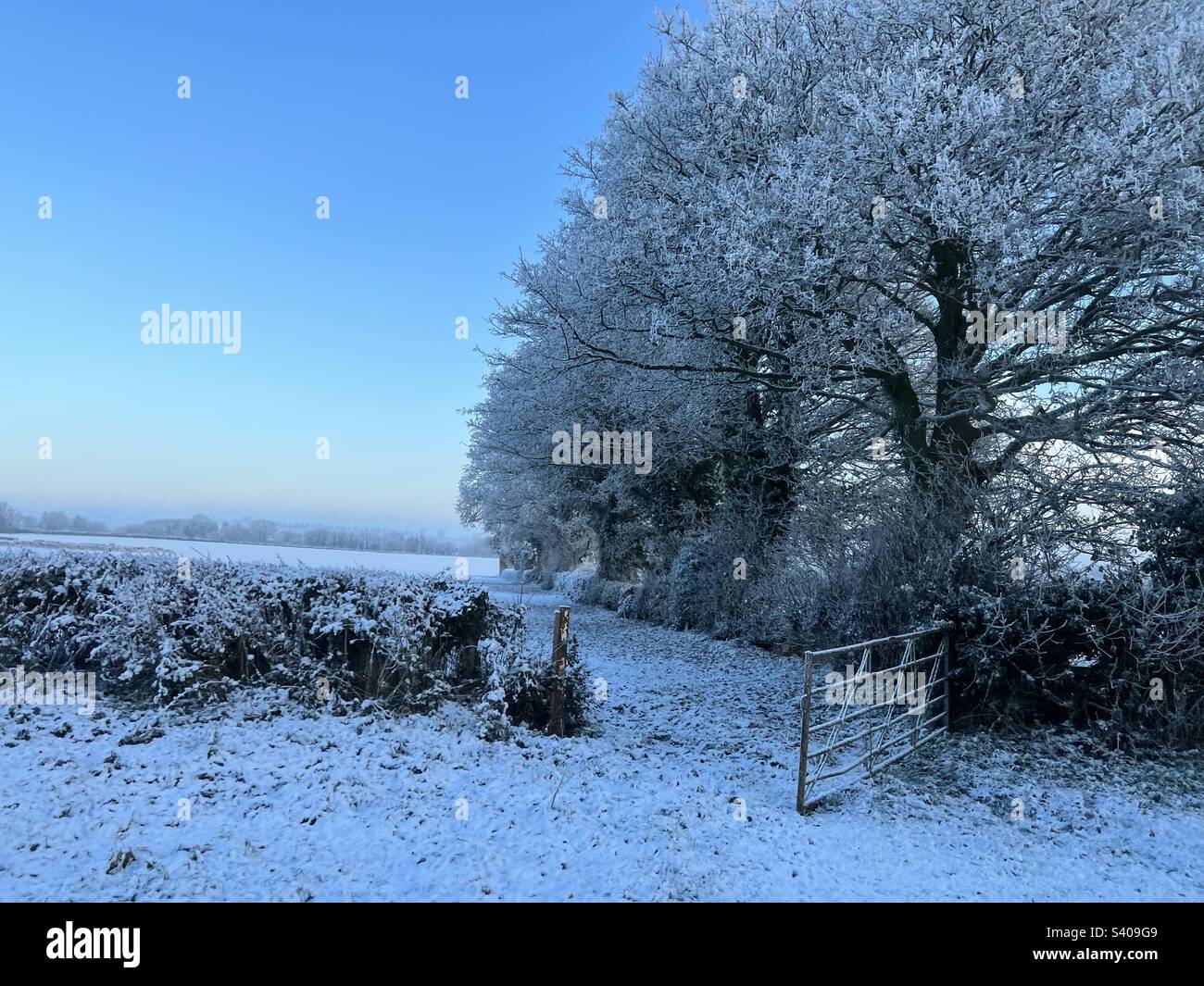 Das Tor öffnet sich zum schneebedeckten Feld Stockfoto