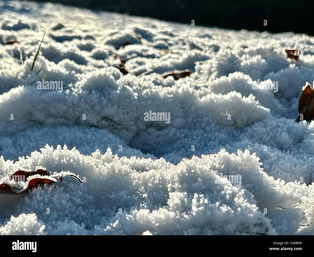 Gefrorener Schnee auf dem Boden mit toten Blättern am Nachmittag schwaches Wintersonnenlicht, Kent, England Dezember 2022 Stockfoto