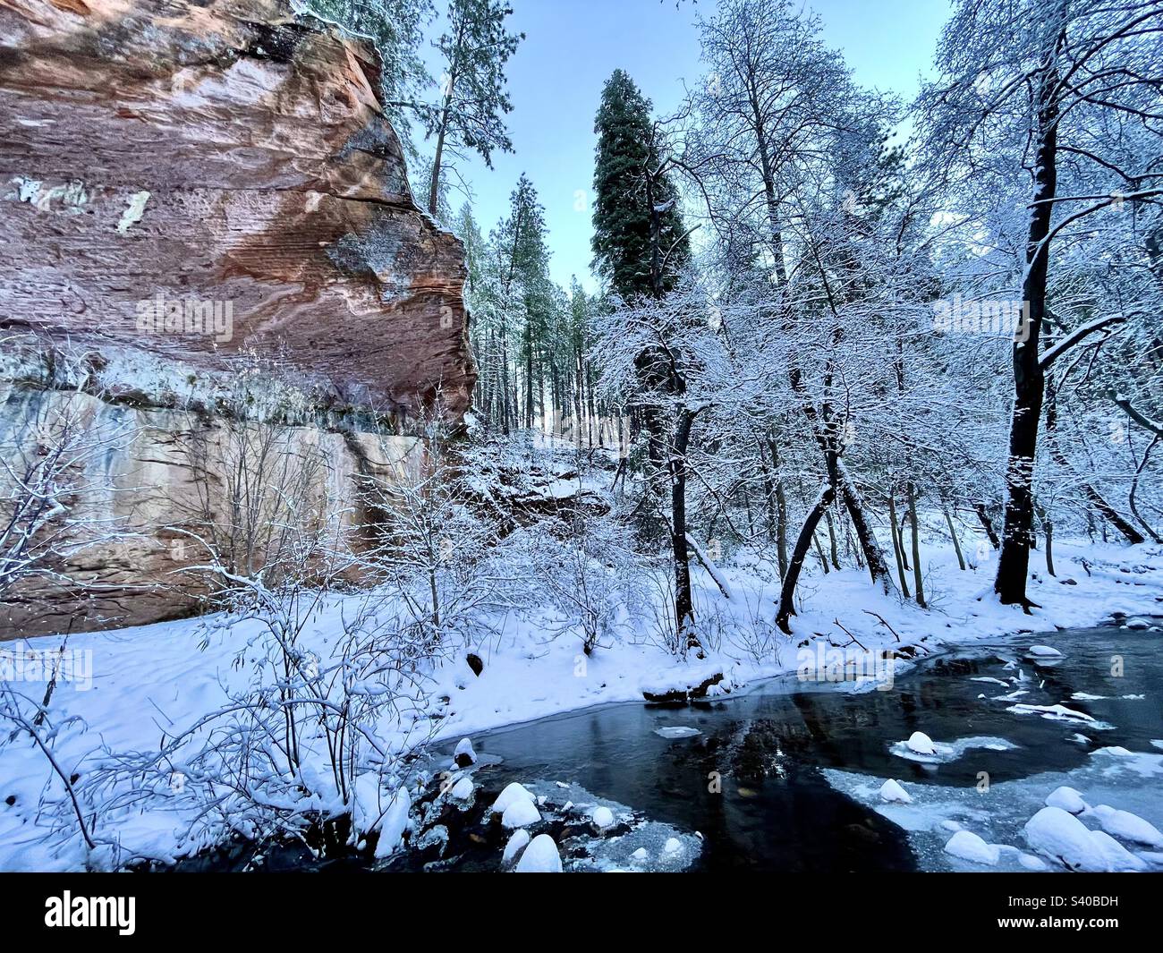 Winter Wunderland, Sedona Arizona, West Fork, Oak Creek Canyon, Frosted Tree Branches, Rote Felsen, grüne Kiefern, blauer Himmel, schneebedeckte Felsen in eiskaltem Bach Stockfoto