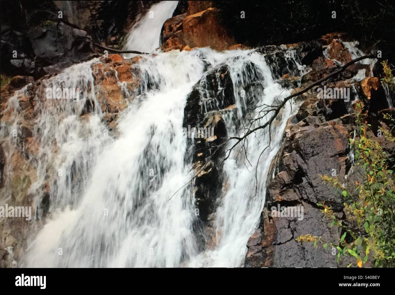 Bilder von Australien, Stevensons Falls, den Otways, Victoria, Wasserfällen, Natur, Landschaft. Stockfoto