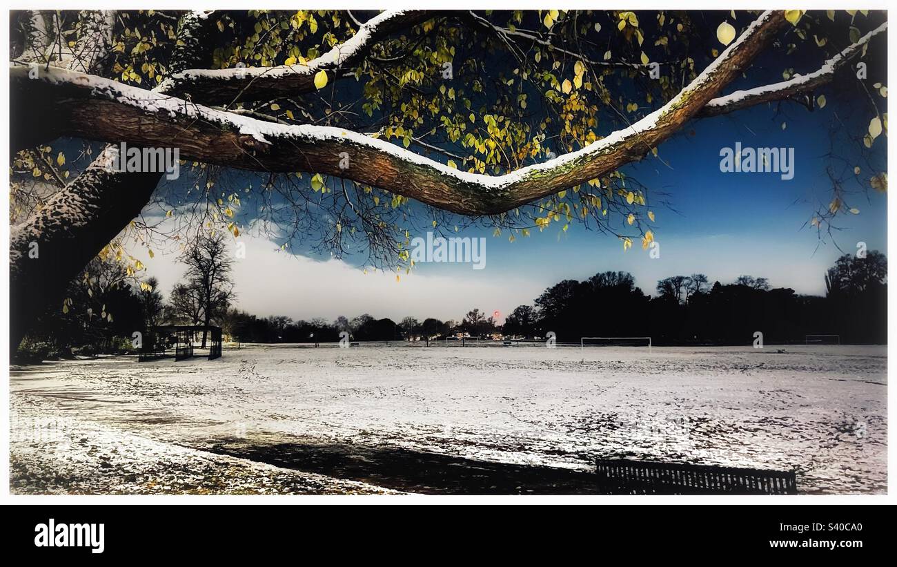 Peckham Rye Park nach Einbruch der Dunkelheit. Stockfoto