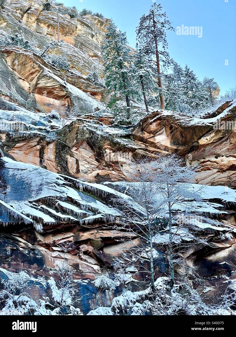 Schne Rock Mit Grtel Bilder