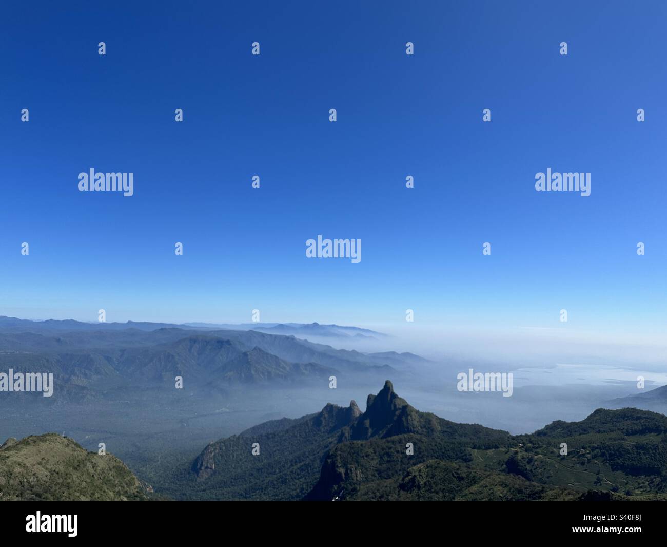 Nilgiri-Berge Stockfoto