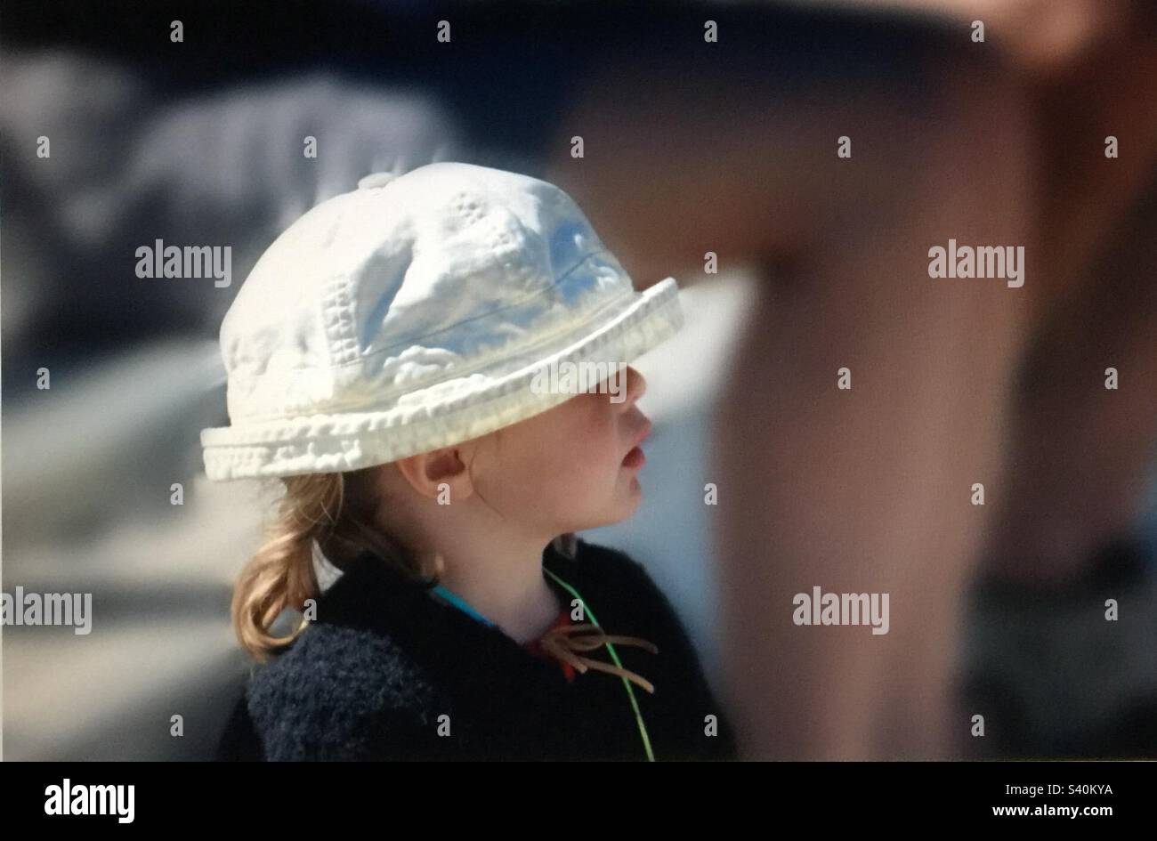 Kleine Person, beim Rodeo, Gliederzaun, Hut, Stockfoto