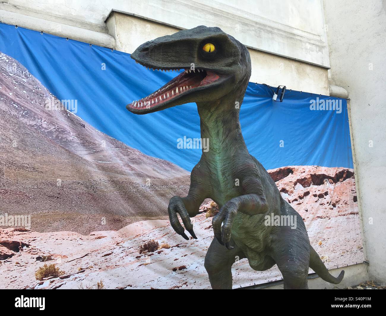 Wilder Velociraptor-Dinosaurier im Dino-Park in Bukarest Rumänien Stockfoto