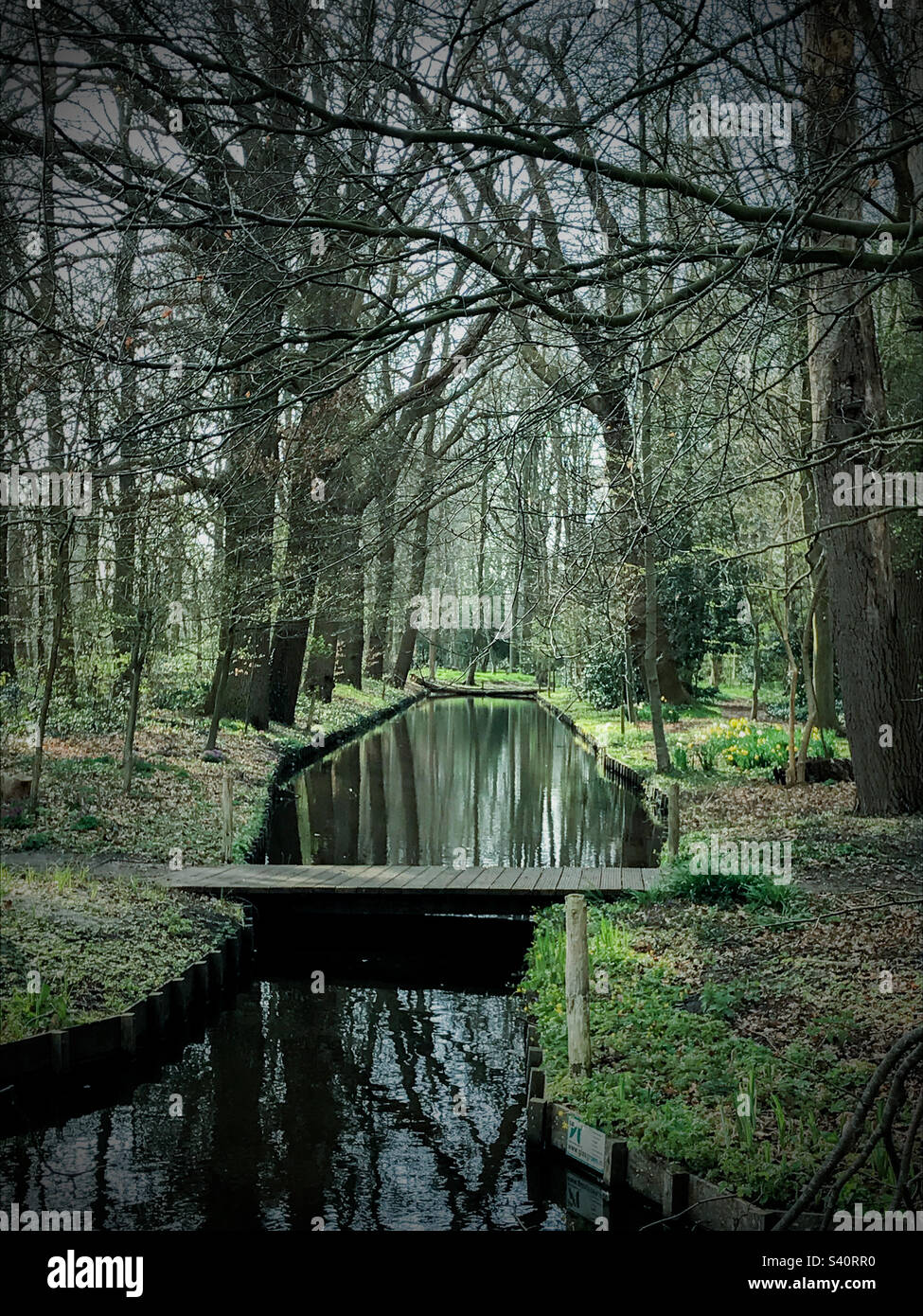 Märchenwald auf der anderen Seite der Brücke Stockfoto