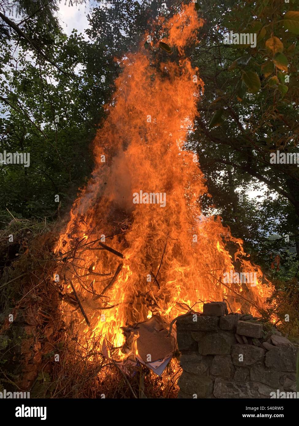 Riesiges Lagerfeuer im Garten, riesige heiße orangefarbene und rote Flammen springen vom Lagerfeuer Stockfoto