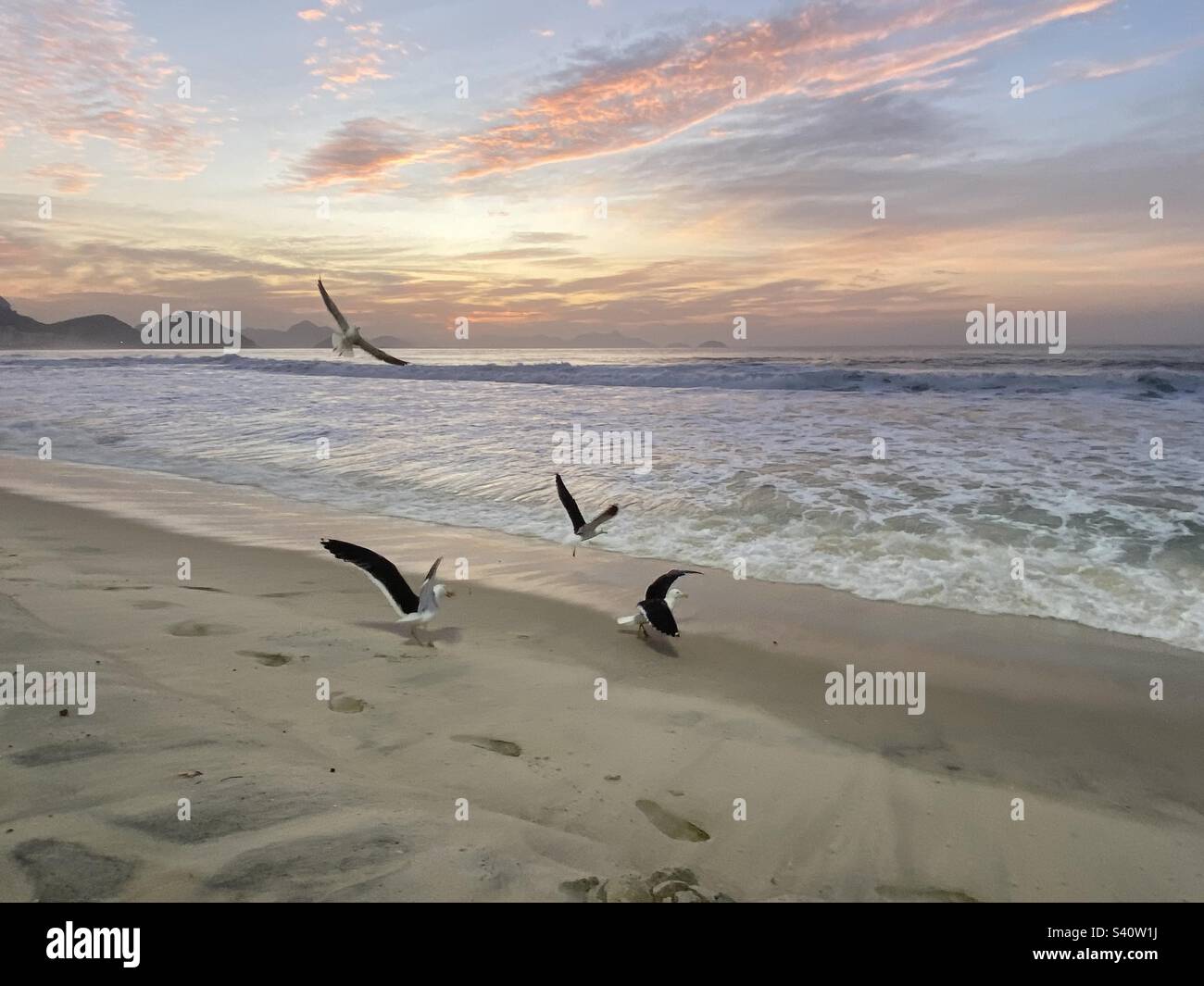 Was denken Sie, wenn Sie früh aufwachen und diesen farbenfrohen Sonnenaufgang mit Möwen als Kompanie sehen? Dass es ein wunderbarer Tag wird. Stockfoto