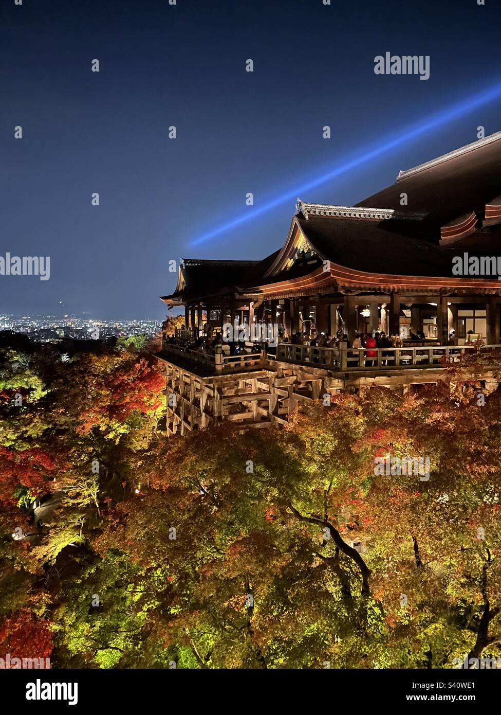 Der berühmte Kiyomizu-dera-Tempel in Kyoto, Japan, erleuchtet im Herbst während einer besonderen Lichtveranstaltung. Stockfoto