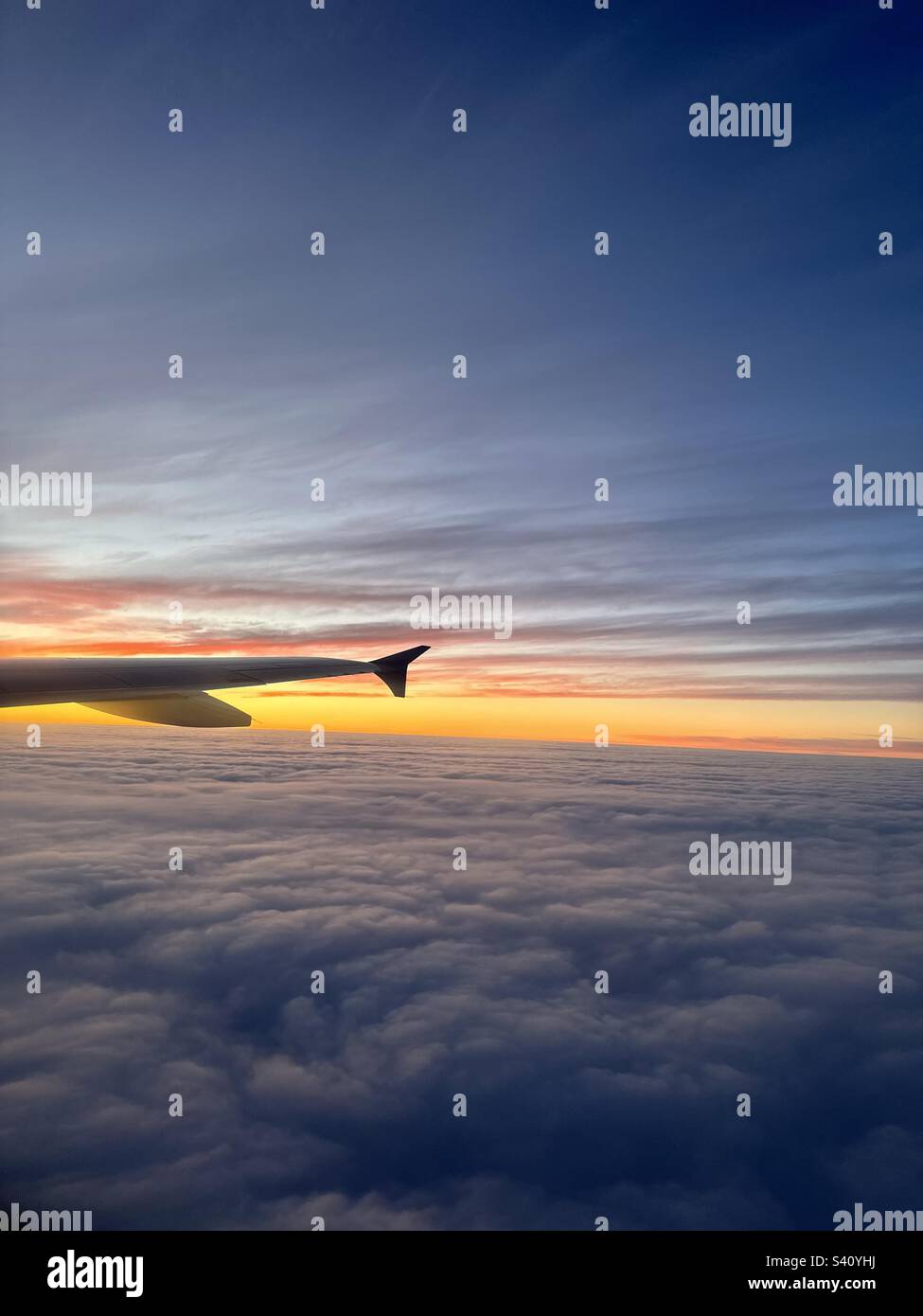 Fliegen Sie hoch in den Himmel Stockfoto