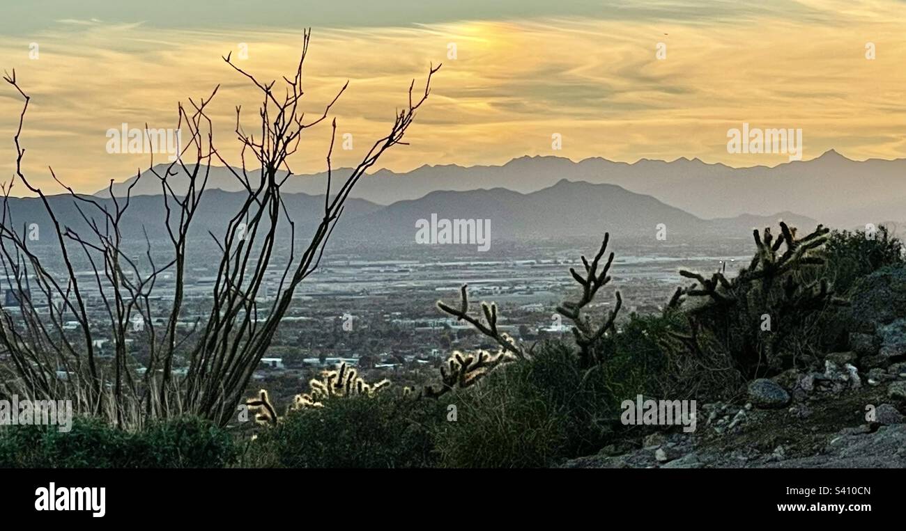 Wolkiger goldener Sonnenuntergang mit Sonnenhund, Parhelion, über South Mountain, Cholla Trail, Camelback Mountain, Ocotillo, Cholla Cacti, Silhouetten, Hintergrundbeleuchtung, Scottsdale, Phoenix Arizona, Kopierraum Stockfoto