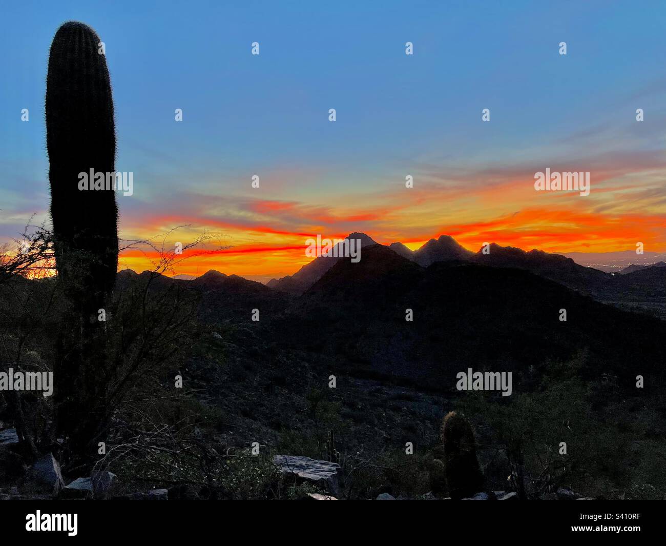 Silhouetten des Piestewa Peak und Saguaro allein vor einem Sonnenuntergang im Stil der Arizona Flag, Fan von Rot, goldgelb, tiefblau, Phoenix Mountain Preserve, 40. Street Trailhead Stockfoto