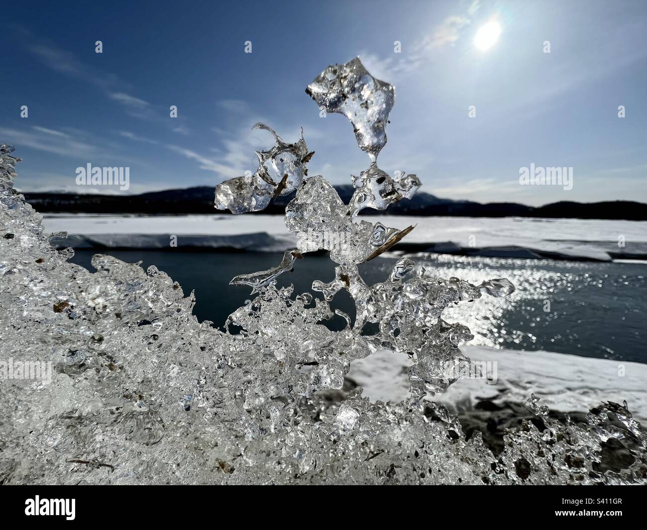 Eisskulptur von Don Quijote mit Reiten in die Wintersonne. Durchsichtige Eisskulpturen, die durch Frost und Sonne entstanden sind, mit Schnee und etwas Pflanzenmaterial. Yukon River im Hintergrund. - Smartphone-aufgenommenes Stockfoto