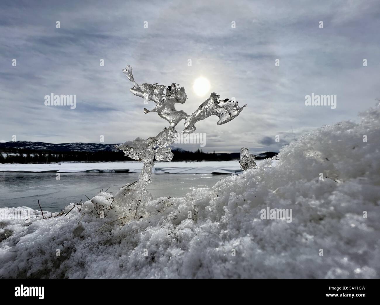 Eisengel tanzen im Winterhimmel mit milchiger Sonne. Durchsichtige Eisskulpturen, die durch Frost und Sonne entstanden sind, mit Schnee und etwas Pflanzenmaterial. Yukon River im Hintergrund. - Smartphone-aufgenommenes Stockfoto