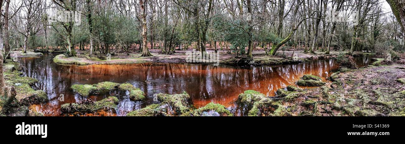 Ober-Wasser-Winterstrom im New Forest National Park Brockenhurst Hampshire Vereinigtes Königreich - Smartphone-aufgenommenes Stockfoto